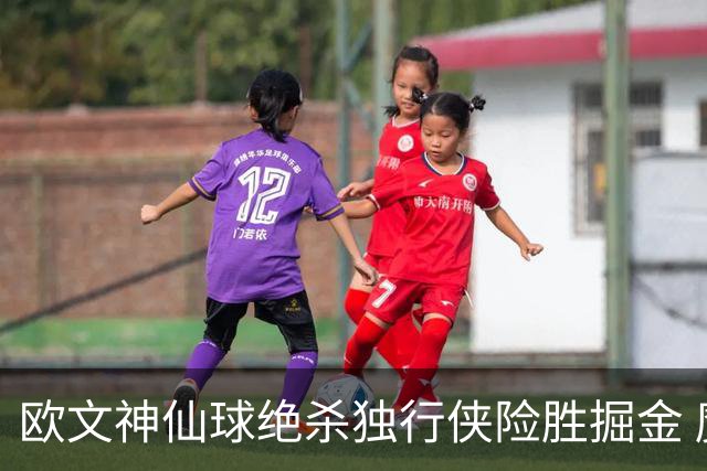 欧文神仙球绝杀独行侠险胜掘金 魔术大胜猛龙